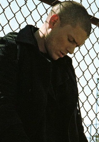 scofield